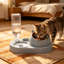 Distributeur d'eau pour chien Pet Bowl-131407799