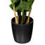 Buisson artificiel zamifolia zen vert en pot-20583942