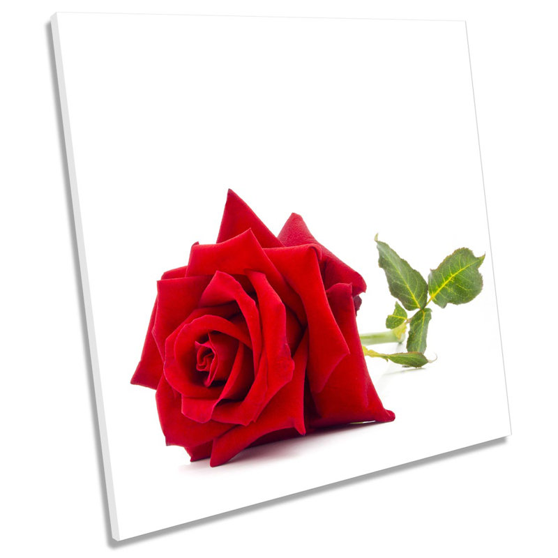 Z1550 Single Rose Flower - Wrapped Canvas Painting, 91.4cm H x 91.4cm W x 4cm D