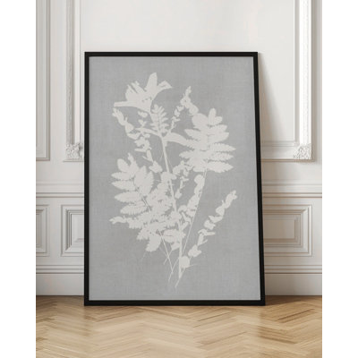 Illustration botanique 5
