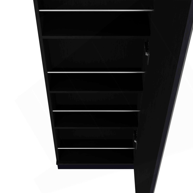 Shoe Rack, Mirror, Five Interior Shelves, Single Door Cabinet, Black