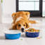 Pet Dog Bowl-63423616-63909065