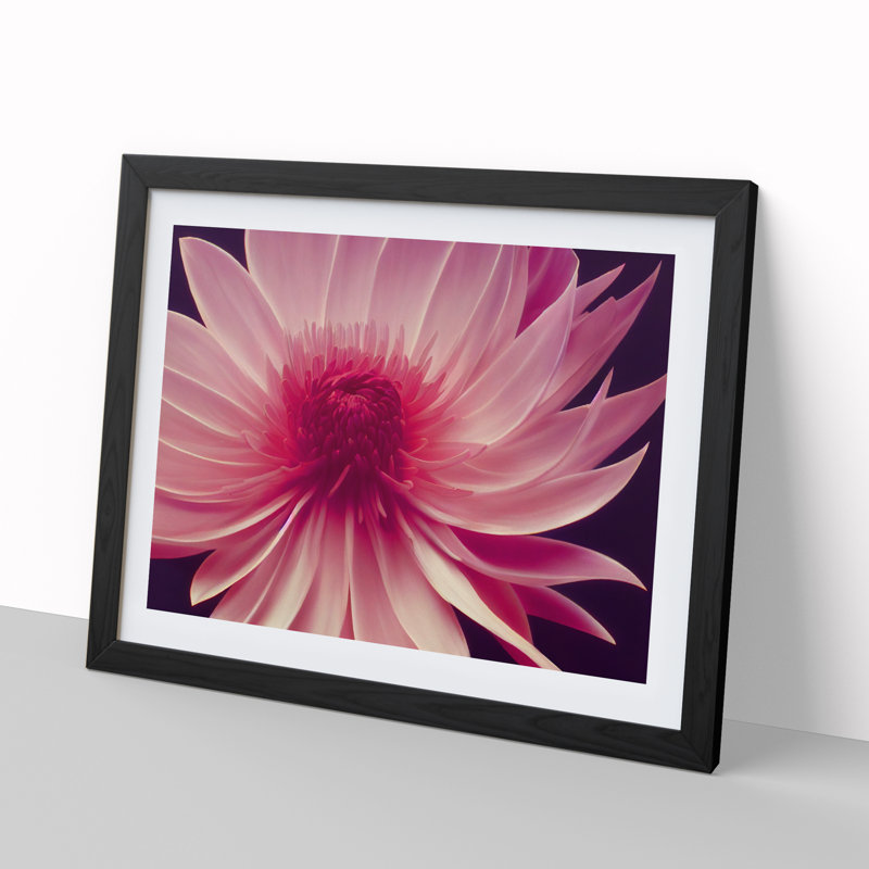 Cute Chrysanthemum Flower - Framed Print, Black, 34cm H x 46cm W x 2cm D