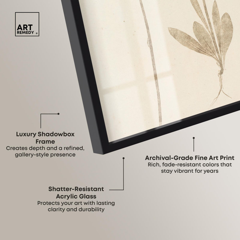 «Two Stems Shadowbox Print», art botanique par Art Remedy, H 16 po x l 11 po, Noir