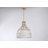 Aukerman 60 Watt 1-Light Bell Pendant with Etched Opal Glass Shade and Metal Outer Cage-718103943-718103940