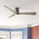 54" Aviator 3 - Blade Outdoor Smart Flush Mount Ceiling Fan with Remote Control