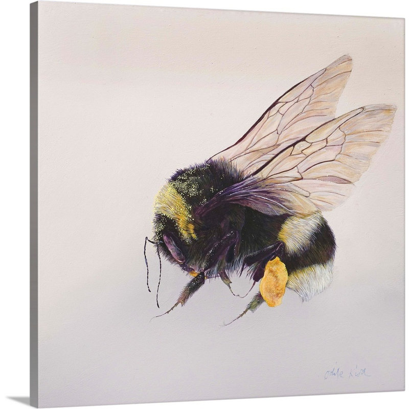 Pollen Sac 2, 2011 - Imprimé, Toile tendue, H 12 po x l 12 po x P 1,25 po