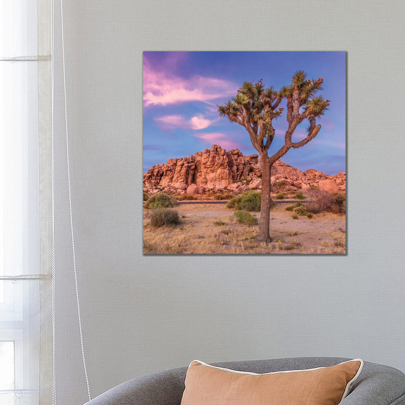 Joshua Tree Evening Scenery by Melanie Viola - Wrapped Canvas Print, 66.04 cm H x 66.04 cm W x 1.91 cm D