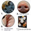 «Curious Blooming Piglet» - impressions sur toile d'animaux de cochon-1558976048-1558976056