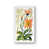 White Framed Paper selected