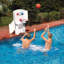 Jeu de basketball dans la piscine Swimline Cool Jam Pro avec panneau réglable