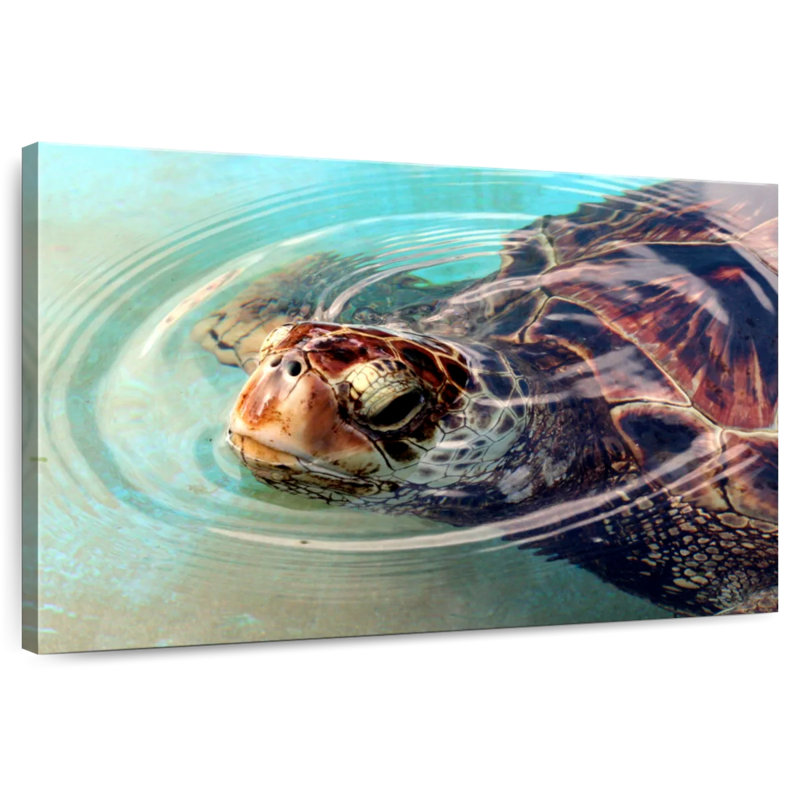 Brampt Peaking Turtle, 30" H x 45" W