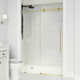 Elan E-Class 52-56" W x 76" H Sliding Frameless Shower Door with 3/8" Clear Glass