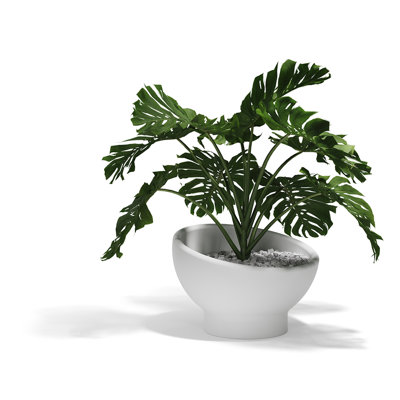 Luna Planter