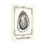Illustration d'animaux avec coquille d'huître rétro-1748600003-1748600001-1748600000