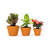 Hand Made Olaughlin 3-Piece Terracota Planter