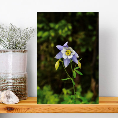 Contemporary Art Colorful Delicate Organic Flower Forest Wall Art by Del Mundo Portraits - Wrapped Canvas Print