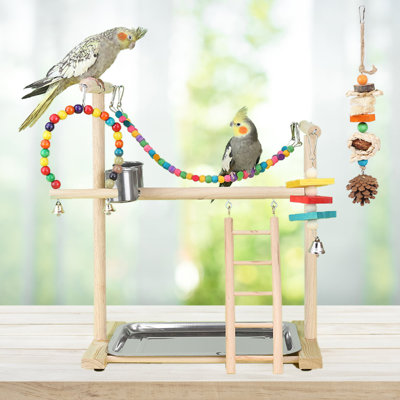 17,7 po Bird Play Gym