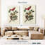 Oiseau rouge Brampt-108486129