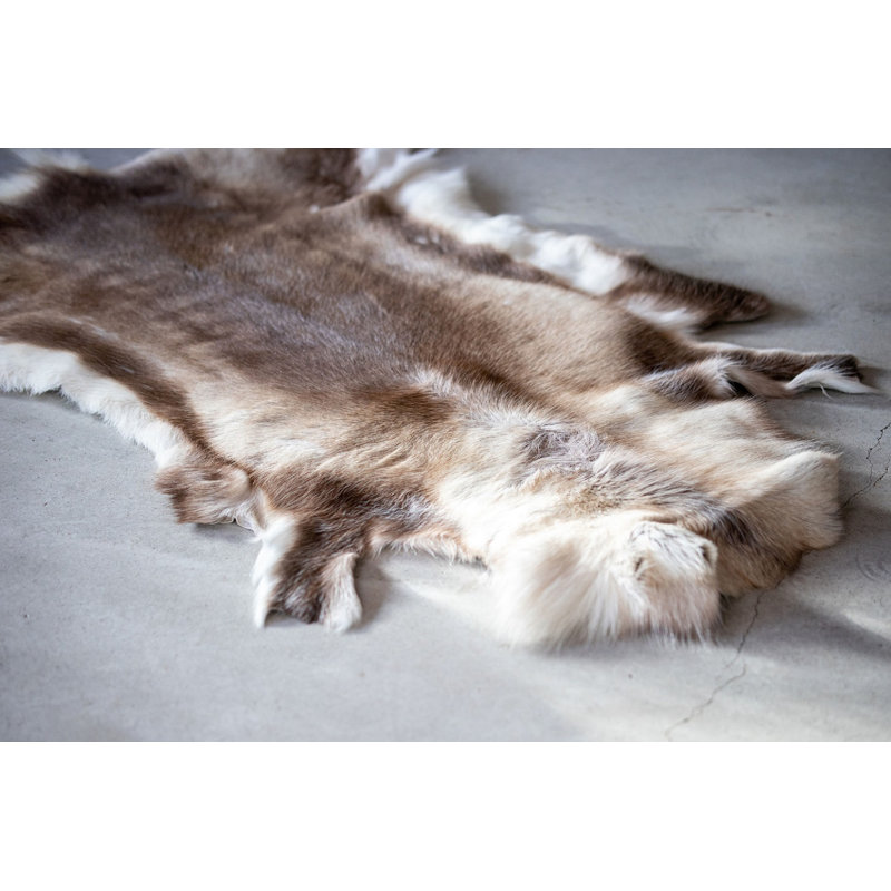 Tapis brun Reindeer 53 po