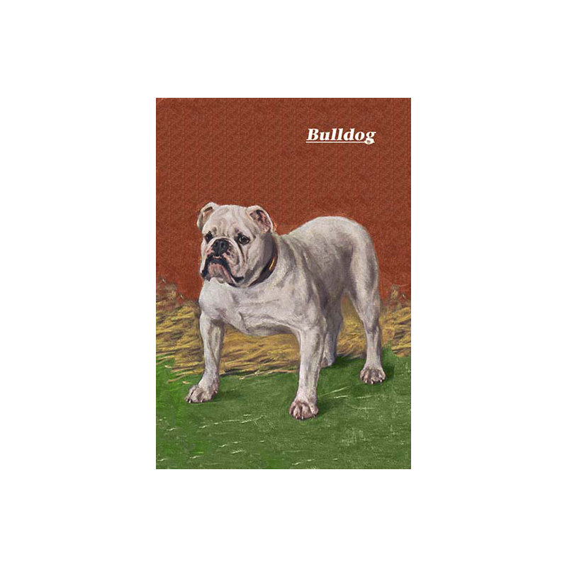 « white bouledogue », impression