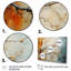 Orange Teal Maple Tree Glowing Agate II - Floral Wall Art Prints-1241976430-1241976438