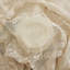 Nappe Hayson Floral Lace-913604069-913604070