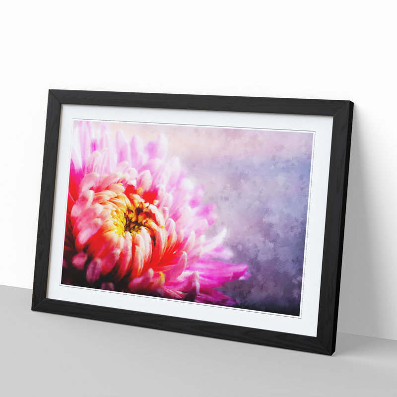 Pink Chrysanthemum Flower - Framed Print, 48cm H x 65cm W x 2cm D, Black Framed