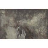 Penumbra Abstract Terralon Wallpaper Roll by Matera