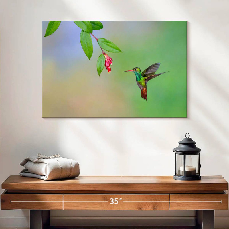 Colibri à queue rousse Brampt, H 16 po x l 24 po