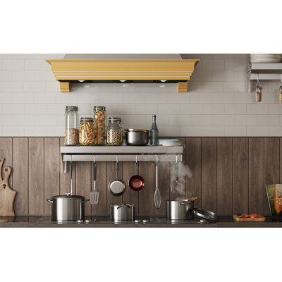 Stainless Steel Flat Wall Mounted Pot Rack