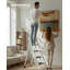 Steel Extension Ladder