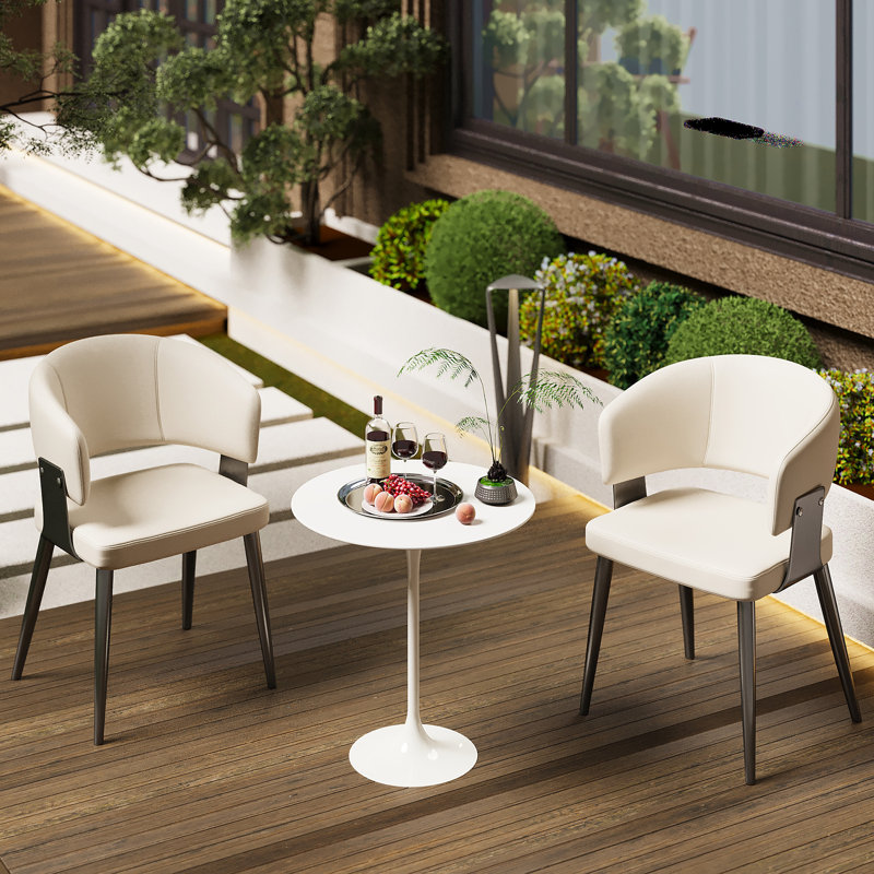 Ensemble 2 pièces de chaises d'extérieur modernes / coussins moelleux et base en acier robuste
