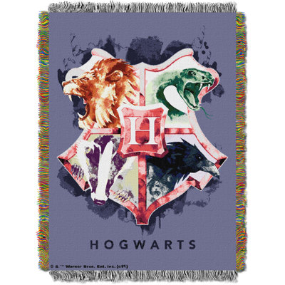 Warner Bros. Harry Potter Throw Blanket, Houses Together Wizarding World Decor, 48x60 Inches