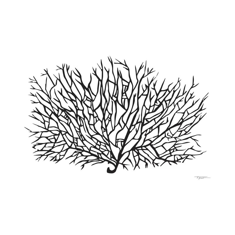 «Coral Sea Fan» par Statistic Goods - reproduction de dessin sur toile tendue, H 40 po x l 60 po x 1,5 po