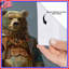 Rideau de douche Bear-129978917