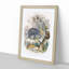 Animal Kingdom Illustration by Oliver Goldsmith - Framed Print-55545208-55545209