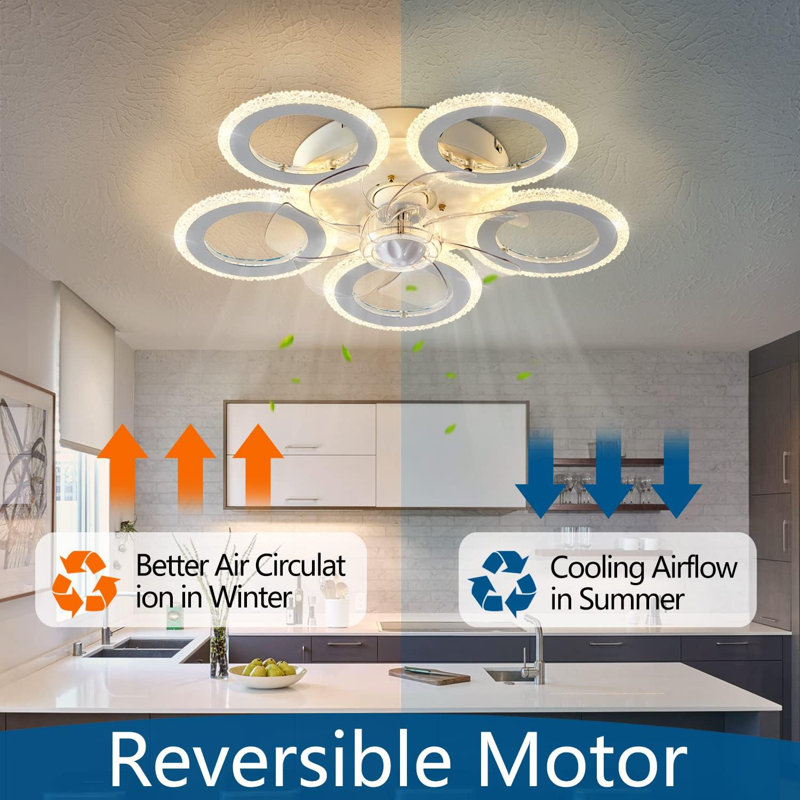 Ceiling Fan with LED Lights