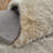 Cienna Shag Indoor Rug-328346130-352325935
