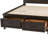 Lexee Bookcase Bed