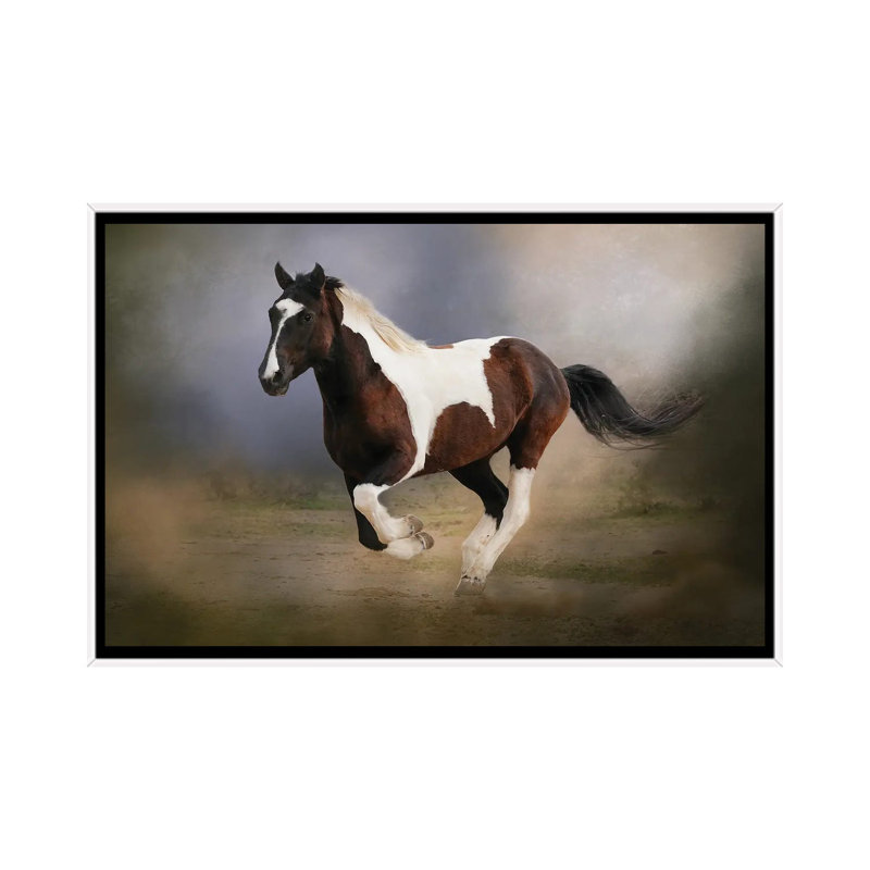 A Run Through The Mist by Rhonda Thompson - Floater Frame Print on Canvas