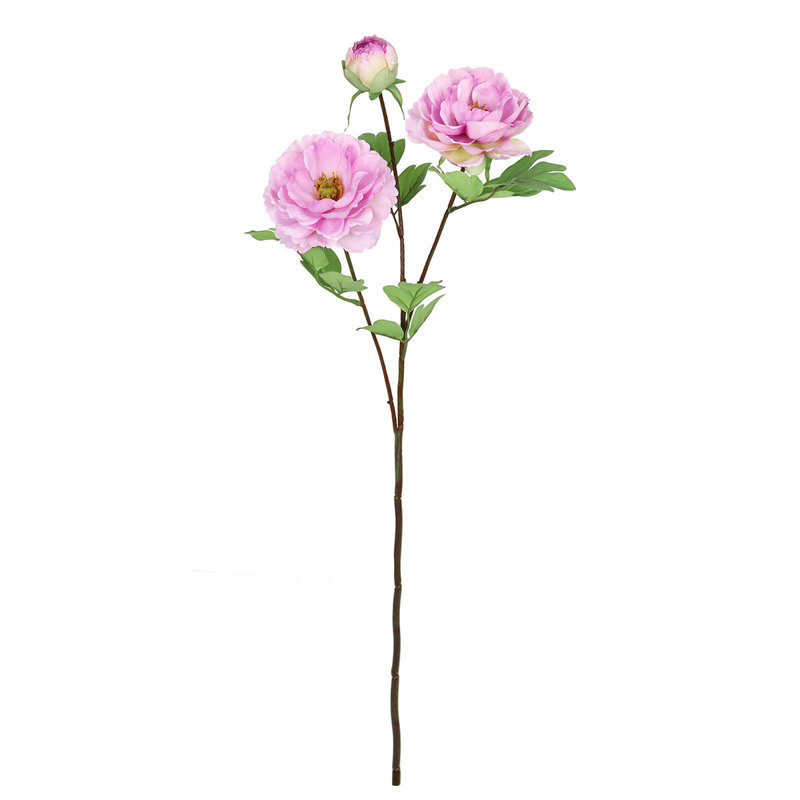 Tiges de pivoines, Lavande