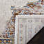 Tapis oriental performance Andy Aria-22828929
