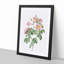Tomentose Rose in Pink by Pierre-Joseph Redoute - Picture Frame Painting Print-55611737-55611725
