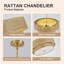 Lustre tissé en rotin 17,7 po Aylianna