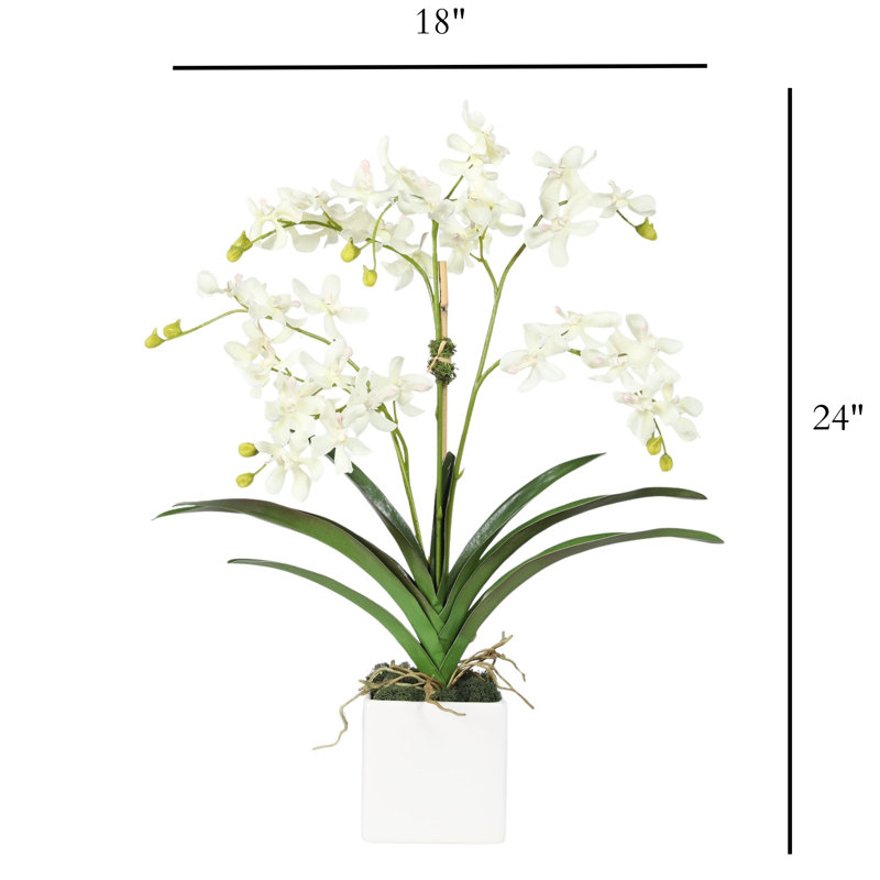 Faux orchidée dans un vase blanc, Blanc, Blanc