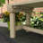 Elegant Garden Bench