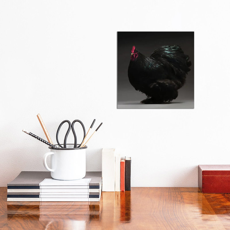 Cochin Bantam - Wrapped Canvas Print, 30.48 cm H x 30.48 cm W