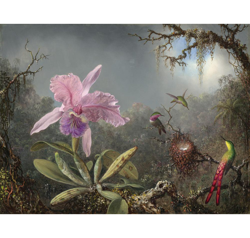 «Cattleya Orchid and Three Hummingbirds» par Martin Johnson Heade - Art mural sur toile tendue avec châssis