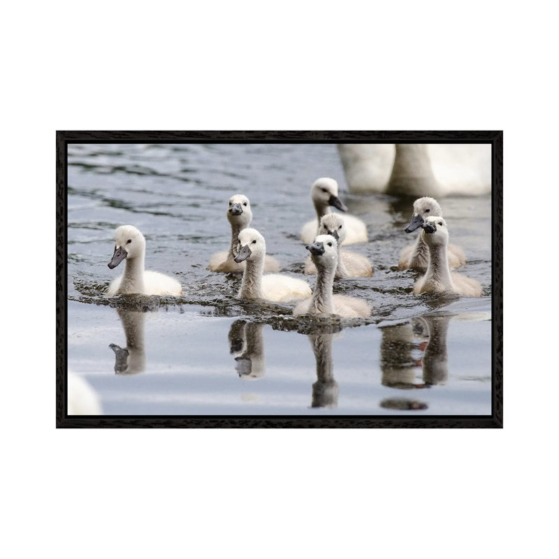 Young’uns by David Gardiner - Print on Canvas, 66.04 cm H x 45.72 cm W, Black Framed